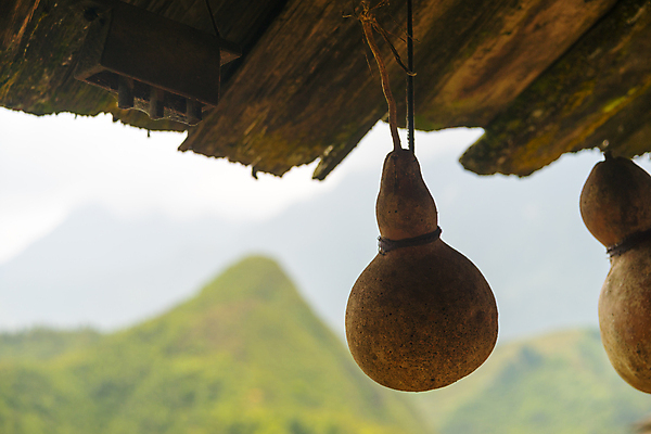 포토 JPG 해외이미지 식물 음식 백그라운드 잎 밭 농업 채소 과일 자연 건조 매달리기 건강 풍경 사람없음 장식 초록색 물 농장 노란색 수확 가을 신선 컨테이너 유기농 기념품 박 스쿼시 옛날 조롱박 해외202004 해외포토 자연요소 웰빙 계절 산업 스포츠 컬러 모션 구기 오브젝트 생태계 파일형식 이미지허브