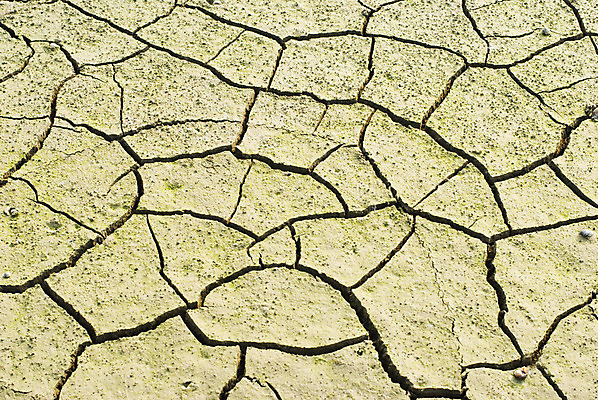 포토 JPG 해외이미지 식물 지구 모래 백그라운드 컨셉 패턴 자연 표면 날씨 추상 건조 사람없음 글로벌 갈색 환경 흙 손상 사막 죽음 뜨거움 거친 황무지 균열 땅 묘사 질감 먼지 점토 지역 진흙 가뭄 다리찢기 내추럴 깨짐 땅바닥 생태학 재앙 지질학 해외202004 해외포토 교육 컬러 무늬 모션 바닥 생태계 파일형식 이미지허브