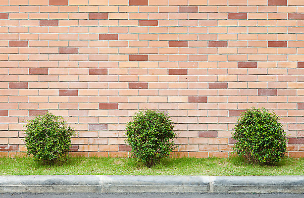 포토 JPG 해외이미지 나무 식물 디자인 외관 벽 백그라운드 패턴 오렌지 자연 표면 벽돌 3 사람없음 장식 초록색 갈색 블록 냄비 타일 묘사 질감 내추럴 그런지 옛날 해외202004 해외포토 컬러 무늬 과일 솥 생태계 파일형식 이미지허브