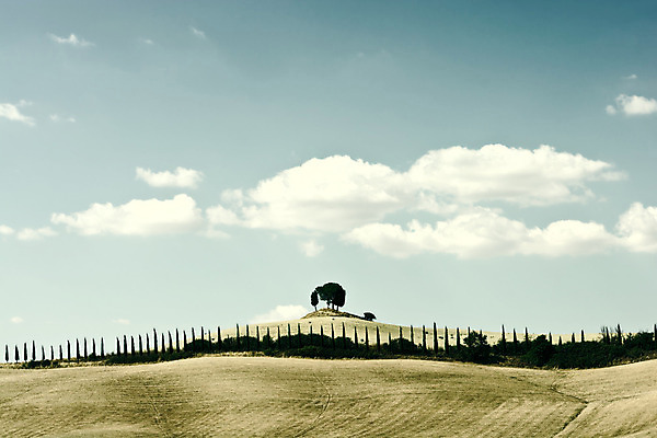 포토 JPG 해외이미지 식물 구름 유럽 도로 길 지구 밭 농업 자연 하늘 산 풍경 사람없음 야외 파란색 농작물 농장 농경지 흙 이탈리아 수확 가을 시골 땅 지중해 만취 언덕 복고 포도밭 땅바닥 밭일 블러 접기 토스카나 필터 목가 세련 해외202004 해외포토 자연요소 계절 나라 산업 바다 컬러 교통시설 모션 바닥 생태계 술취함 파일형식 이미지허브