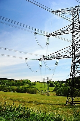 포토 JPG 해외이미지 산업 선 밭 농업 자연 하늘 풍경 사람없음 초록색 여름 파란색 환경 탑 금속 힘 에너지 시골 숲 땅 전염 철탑 공학 전압 해외202004 해외포토 건축물 계절 교육 컬러 재질 질병 생태계 감염 파일형식 이미지허브