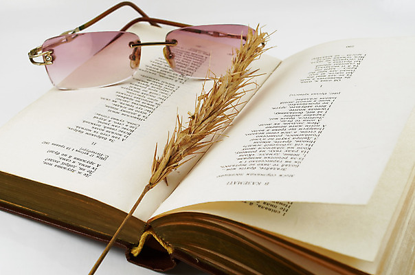 포토 JPG 해외이미지 식물 교육 종이 안경 선 유리 프레임 건조 사람없음 책 단어 독서 오픈 역사 클래식 인쇄 낟알 편지 수집 귀 문학 페이지 시트 출판 해외202004 해외포토 문자 잡화 컨셉 재질 신체부위 파일형식 이미지허브