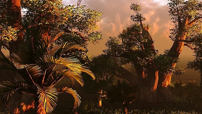 포토 JPG 해외이미지 나무 식물 호수 자연 아침 열대 풍경 사람없음 물 강 일출 환경 황혼 일몰 새벽 저수지 황무지 습지 저녁 숲 홍수 생태계 서식지 변소 삼림지대 플로리다 해외202004 해외포토 주간 자연요소 노을 미국 야간 자연재해 파일형식 이미지허브