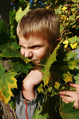 포토 JPG 해외이미지 나무 1 계절 공원 행복 아들 어린이 이동 단풍 잎 생각 가족 자연 한명 웃음 앉기 소년 야외 초록색 금발 햇빛 머리 평화 흰색 시골 황금 숲 명상 쉬는시간 해외202004 해외포토 식물 헤어스타일 공공시설 남자 감정 컬러 컨셉 관계 모션 휴식 표정 사람 신체부위 태양 생태계 파일형식 이미지허브