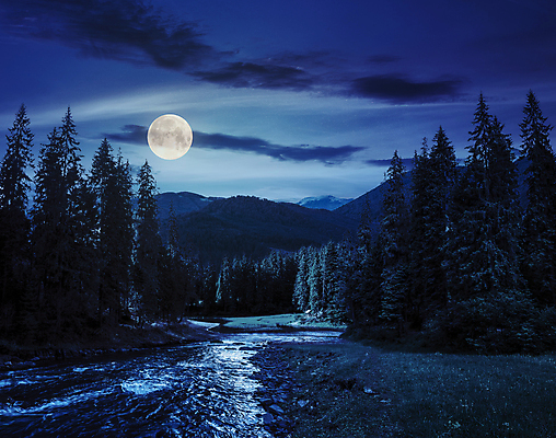 포토 JPG 해외이미지 나무 구름 하늘 풍경 사람없음 야외 파란색 강 보름달 달 야간 해외202004 해외포토 자연요소 식물 컬러 파일형식 이미지허브