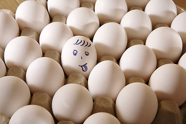 포토 JPG 해외이미지 음식 재료 탁자 요리 서기 사람없음 상자 주방 흰색 신선 유기농 내추럴 많음 해외202004 해외포토 웰빙 컬러 가구 컨셉 모션 파일형식 이미지허브