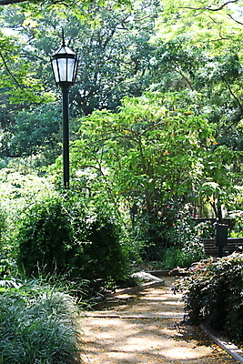 포토 JPG 해외이미지 나무 공원 길 잎 자연 풍경 사람없음 야외 초록색 산타클로스 평화 걷기 정원 산책로 하이킹 시골 등불 램프 오솔길 기념물 해외202004 해외포토 식물 공공시설 컬러 컨셉 크리스마스 모션 레저 조명 생태계 파일형식 이미지허브