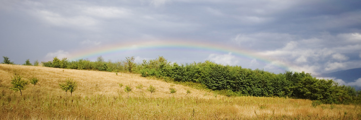 포토 JPG 해외이미지 구름 무지개 밭 자연 날씨 풍경 사람없음 여름 빛 컬러풀 내추럴 수평선 해외202004 해외포토 자연요소 계절 컬러 농업 생태계 파일형식 이미지허브