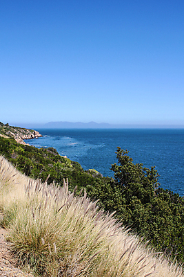 포토 JPG 해외이미지 식물 바다 여행 자연 하늘 날씨 휴가 풍경 사람없음 야외 세로 초록색 물 여름 파란색 햇빛 태양 맑음 만 장면 인도양 강렬 남아프리카 이국적 케이프타운 파라다이스 해외202004 해외포토 자연요소 계절 컬러 아프리카 생태계 남아프리카공화국 파일형식 이미지허브