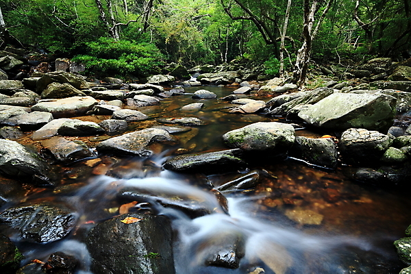 포토 JPG 해외이미지 꽃 음료 백그라운드 잎 패턴 비즈니스 자연 날씨 추상 건강 사람없음 초록색 물 여름 파란색 빛 환경 봄 폭포 젖음 흐름 추위 흰색 신선 투명 액체 떨어짐 이슬 갈증 빗방울 순수 내추럴 해외202004 해외포토 자연요소 식물 계절 컬러 컨셉 무늬 비 생태계 파일형식 이미지허브