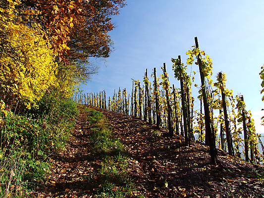 포토 JPG 해외이미지 사람없음 해외202004 해외포토 파일형식 이미지허브