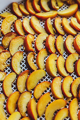 포토 JPG 해외이미지 음식 백그라운드 과일 재료 자연 딸기 건조 쟁반 건강 요리 사람없음 태양 노란색 주방 흰색 신선 원형 달콤 보호 작음 플라스틱 드라이어 자르기 묘사 오브젝트 유기농 질감 날것 산딸기 복숭아 내추럴 고립 구스베리 숙성 식용 핸드메이드 해외202004 해외포토 자연요소 도형 웰빙 열매 컬러 컨셉 모션 재질 미용용품 맛 크기 생태계 파일형식 이미지허브