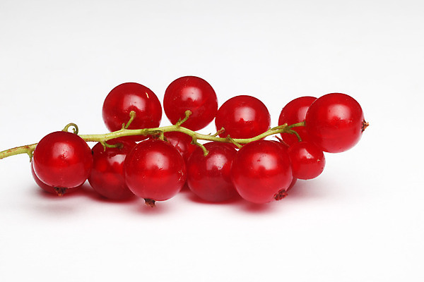 포토 JPG 해외이미지 식물 계절 열매 음식 줄기 다이어트 과일 자연 디저트 건강 사람없음 빨간색 여름 농작물 식사 흰색 신선 선택 달콤 맛 다발 먹기 날것 아로마 부드러움 이익 건포도 고립 숙성 신맛 채식주의자 타르트 해외202004 해외포토 빵 컬러 컨셉 농업 모션 포도 감각 생태계 채식 파이_빵 건과일 파일형식 이미지허브