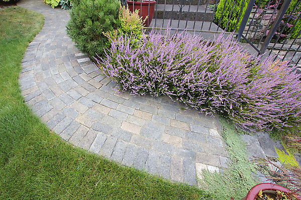 포토 JPG 해외이미지 나무 식물 디자인 꽃 길 분홍색 단풍 곡선 창문 난간 벽돌 주택 이끼 외벽 풍경 잔디 사람없음 빨간색 초록색 정원 바위 소나무 황금 냄비 오솔길 웨이브 단계 백리향 합판 해외202004 해외포토 선 벽 컬러 잎 건물 돌_바위 솥 파일형식 이미지허브