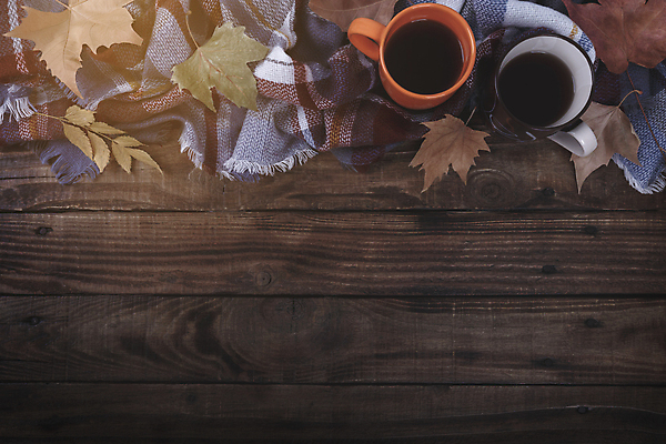 포토 JPG 해외이미지 라이프스타일 계절 커피 음료 백그라운드 컨셉 잎 탁자 휴식 주택 따뜻함 풍경 사람없음 목재 농장 소풍 평화 마을 정원 목도리 수확 가을 시골 시간 뜨거움 차 복고 장면 주말 일요일 구성 무료 안락 해외202004 해외포토 나무 식물 잡화 가구 농업 재료 건물 생활 야외활동 요일 파일형식 이미지허브