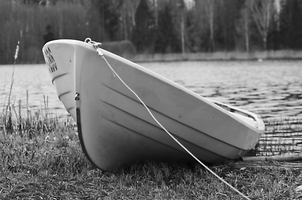 포토 JPG 해외이미지 나무 직업 모래 파도 바다 여행 백그라운드 자연 하늘 낚시 휴가 휴식 풍경 취미 사람없음 야외 목재 물 여름 햇빛 태양 평화 맑음 검은색 젖음 흰색 만 보트 주차 함선 지역 내추럴 가벼움 수목 해외202004 해외포토 자연요소 식물 계절 컬러 컨셉 배_교통 재료 레저 날씨 무게 생태계 파일형식 이미지허브