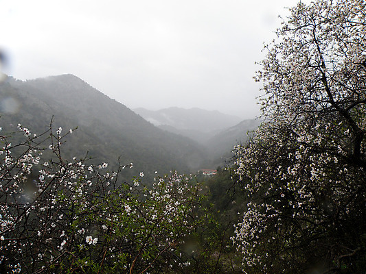 포토 JPG 해외이미지 나무 식물 구름 겨울 산 사람없음 안개 숲 해외202004 해외포토 사이프러스공화국 자연요소 계절 유럽 날씨 파일형식 이미지허브