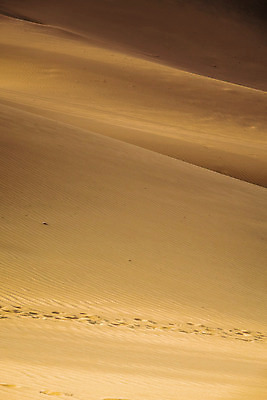 포토 JPG 해외이미지 주간 모래 백그라운드 풍경 사람없음 야외 갈색 사막 발자국 해외202004 해외포토 자연요소 컬러 자국 파일형식 이미지허브