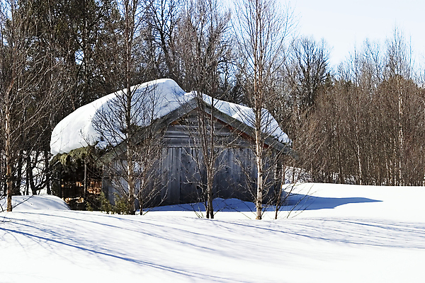 포토 JPG 해외이미지 나무 라이프스타일 계절 남자 십자가 크리스마스 겨울 자연 날씨 휴가 스키 산 주택 사람 풍경 사람없음 야외 건물 목재 운동 얼음 기차 추위 흰색 정상 숲 신비 12월 11월 언덕 시골집 북쪽 동쪽 리빙 1월 2월 단절 해외202004 해외포토 자연요소 식물 건축물 기념일 육상교통 컬러 컨셉 재료 겨울스포츠 대중교통 건강 생활 날짜 방향 생태계 파일형식 이미지허브