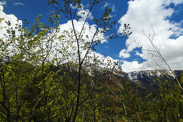 포토 JPG 해외이미지 나무 구름 계절 공원 유럽 호수 여행 백그라운드 캐나다 자연 하늘 산 풍경 사람없음 야외 초록색 물 여름 파란색 강 환경 계곡 맑음 봄 바위 흰색 시골 연기 숲 언덕 장면 내추럴 산악지대 전국 절정 콜로라도 해외202004 해외포토 자연요소 식물 공공시설 나라 컬러 북아메리카 날씨 미국 돌_바위 생태계 파일형식 이미지허브