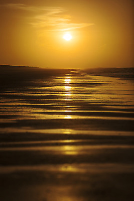 포토 JPG 해외이미지 구름 계절 실루엣 파도 바다 여행 백그라운드 오렌지 자연 벽지 하늘 아침 날씨 추상 휴가 풍경 사람없음 야외 물 여름 파란색 빛 햇빛 태양 반사 노란색 평화 일출 맑음 검은색 황혼 일몰 새벽 흰색 황금 야간 저녁 장면 수평선 해외202004 해외포토 주간 자연요소 컬러 컨셉 무늬 과일 촬영기법 노을 생태계 파일형식 이미지허브