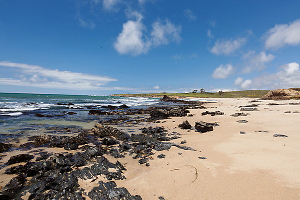 포토 JPG 해외이미지 주간 구름 해외풍경 바다 하늘 해변 사람없음 야외 미국 바위 지평선 캘리포니아 해외202004 해외포토 자연요소 해외 북아메리카 풍경 돌_바위 파일형식 이미지허브