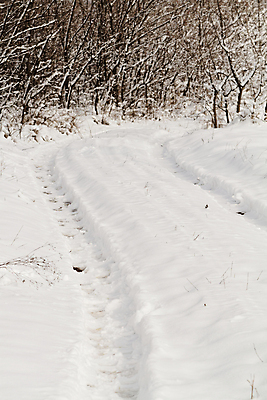 포토 JPG 해외이미지 계절 도로 백그라운드 겨울 패턴 자동차 자연 추상 새로움 산 거리 사람없음 야외 냉동 얼음 추위 흰색 바퀴 인쇄 질감 서리 부드러움 지역 눈보라 방법 선로 자취 눈내림 각인 해외202004 해외포토 자연요소 길 육상교통 컬러 컨셉 무늬 교통시설 눈_날씨 감각 생태계 파일형식 이미지허브