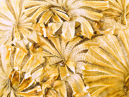 포토 JPG 해외이미지 접시 음식 재료 건조 건강 어류 사람없음 농작물 쌓기 흰색 신선 원형 그룹 보호 먹기 해산물 피부 준비 상쾌 날것 흙더미 절임 해외202004 해외포토 도형 식기 감정 컬러 컨셉 농업 모션 신체부위 수중동물 흙 파일형식 더미 이미지허브