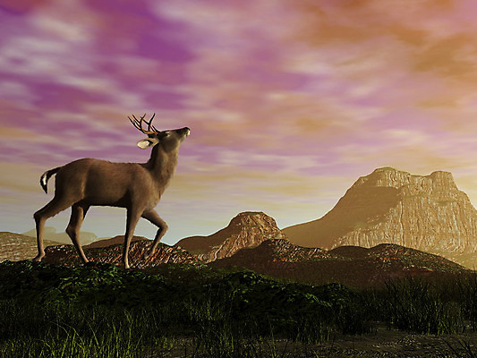 포토 JPG 해외이미지 동물 남자 야생동물 일러스트 포유류 자연 사슴 산 털 뿔 풍경 사람없음 야외 목재 그래픽 갈색 3D 달러 디지털 일몰 가을 황무지 만들기 동물상 순록 암사슴 해외202004 해외일러스트 나무 계절 컬러 돈 재료 모션 사람 조형물 노을 암컷 디지털합성 생태계 파일형식 이미지허브