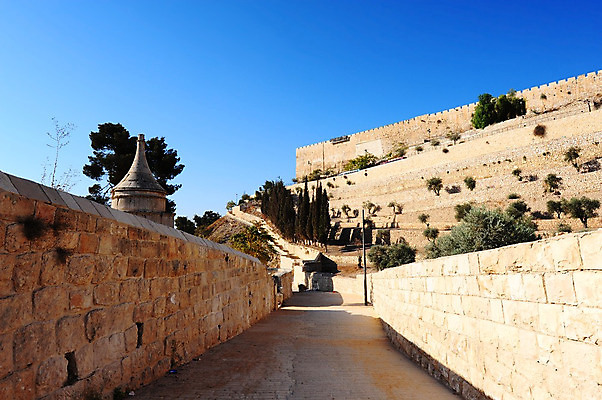 포토 JPG 해외이미지 나무 전통 기독교 종교 벽 여행 건축양식 하늘 벽돌 산 사람없음 파란색 교회 탑 계곡 성경 바위 기둥 도시 사찰 예수 역사 이슬람교 묘사 올리브 모스크 신성 기념물 유대인 장례 신앙심 예루살렘 옛날 유태교 이스라엘 장례식 팔레스타인 해외202004 해외포토 식물 건축물 열매 건축 컬러 중동 종교용품 종교건축 건물 돌_바위 신_종교 서아시아 파일형식 이미지허브