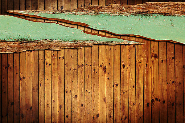 포토 JPG 해외이미지 나무 디자인 외관 벽 백그라운드 잎 패턴 자연 탁자 표면 날씨 바닥 그림자 사람없음 목재 장식 수확 시골 기둥 소나무 판넬 얼룩 구멍 거친 널 낟알 방향 타일 책상 사인 질감 복고 목공예 그런지 떠남 수목 옛날 파케트 해외202004 해외포토 식물 건축 가구 무늬 농업 재료 모션 공예 생태계 파일형식 이미지허브