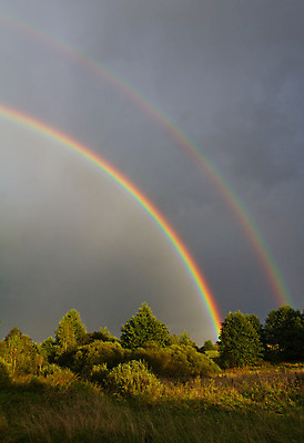 포토 JPG 해외이미지 나무 구름 무지개 잎 밭 자연 하늘 날씨 풍경 사람없음 야외 초록색 파란색 침묵 시골 폭풍 천국 멀티 스펙트럼 해외202004 해외포토 자연요소 식물 컬러 농업 소리 생태계 파일형식 이미지허브