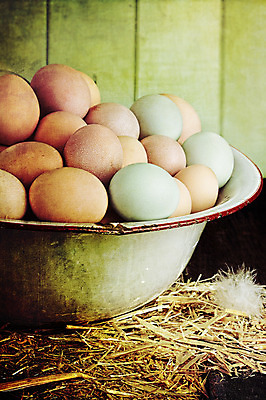 포토 JPG 해외이미지 음식 백그라운드 재료 휴가 부활절 사람없음 목재 초록색 파란색 농장 갈색 쌓기 계란 치킨 수확 골동품 시골 신선 그룹 사발 볏짚 상품 수집 가득함 향수 깃털 질감 복고 날것 장면 성분 밀짚 흙더미 그런지 생식 정물화 많음 해외202004 해외포토 나무 기념일 컬러 컨셉 농업 모션 알 흙 화장품 사기그릇 짚 그림 닭고기요리 파일형식 더미 이미지허브