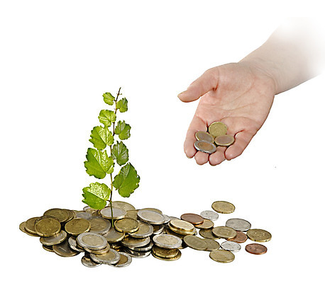 포토 JPG 해외이미지 나무 식물 손 여자 백그라운드 컨셉 잎 돈 비즈니스 자연 사람없음 초록색 금융 새싹 환경 동전 유로 성장 흰색 비즈니스우먼 재산 보호 발자국 투자 상업 기부 개발 고립 모종 묘목 생태학 승인 심기 자금 정부 투자자 해외202004 해외포토 교육 컬러 자국 모션 사람 신체부위 경제 직장인 생태계 파일형식 이미지허브