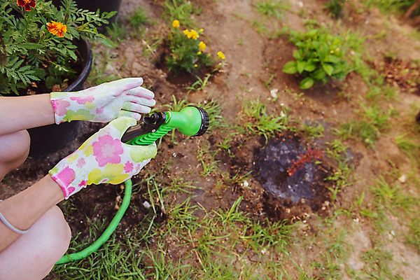 포토 JPG 해외이미지 나무 식물 백인 라이프스타일 손 디자인 여자 꽃 행복 감정 화분 백그라운드 잎 농업 자연 취미 사람없음 야외 초록색 여름 흙 봄 성장 잡기 작업 삽 원예 조경 돌봄 심기 원예사 해외202004 해외포토 서양인 직업 계절 산업 컬러 모션 사람 생활 신체부위 생태계 파일형식 이미지허브