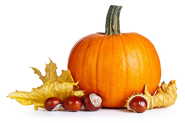 포토 JPG 해외이미지 계절 음식 백그라운드 단풍 잎 채소 오렌지 자연 호박 휴가 프레임 사람없음 장식 컬러풀 갈색 노란색 할로윈 수확 껍질 가을 흰색 심볼 박 추수감사절 고립 숙성 해외202004 해외포토 식물 기독교 컬러 농업 과일 생태계 파일형식 이미지허브