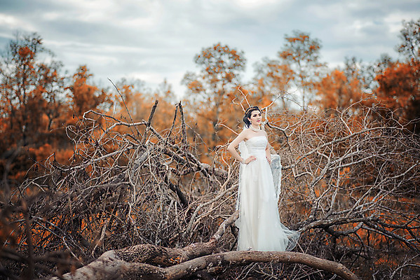 포토 JPG 해외이미지 나무 드레스 공원 여자 결혼 잎 겨울 오렌지 신혼부부 태국 결혼식 휴가 함께함 한명 사람 청춘 컬러풀 금발 노란색 유행 귀여움 산책 젖음 추위 안개 가을 흰색 축하 우아함 떨어짐 숲 시원함 11월 약혼 공평 해외202004 해외포토 식물 1 헤어스타일 부부 옷 계절 공공시설 아시아 컬러 컨셉 과일 날씨 휴식 이벤트 날짜 약속 신혼 파일형식 이미지허브