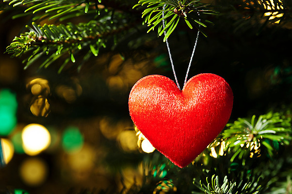 포토 JPG 해외이미지 잎 크리스마스장식 크리스마스 실내 사람없음 아웃포커스 하트 오브젝트 해외202004 해외포토 모양 식물 기념일 촬영기법 내부 파일형식 이미지허브