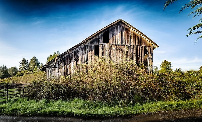 포토 JPG 해외이미지 외관 벽 백그라운드 밭 농업 건축양식 자연 하늘 주택 풍경 사람없음 야외 내부 건물 목재 여름 빛 농가 농장 문 목장 방 수확 골동품 시골 땅 버리기 복고 캘리포니아 헛간 외양간 그런지 깨짐 밭일 썩음 옛날 판잣집 해외202004 해외포토 나무 건축물 계절 건축 산업 컨셉 재료 모션 미국 생태계 저장고 파일형식 이미지허브