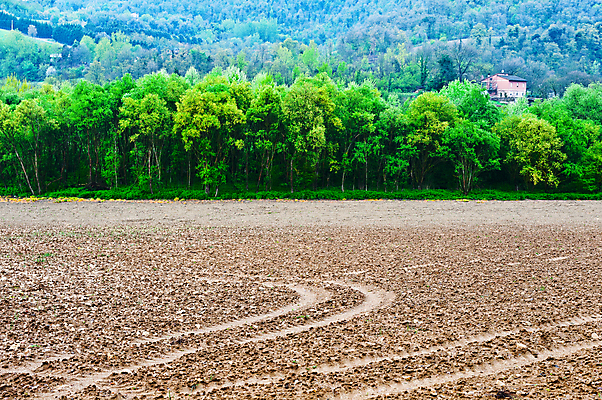 포토 JPG 해외이미지 나무 계절 유럽 지구 밭 농업 건축양식 자연 산 주택 씨앗 풍경 사람없음 야외 초록색 농장 농경지 계곡 흙 봄 이탈리아 시골 숲 땅 뿌리기 언덕 유기농 먼지 진흙 내추럴 땅바닥 밭일 옛날 쟁기 세련 해외202004 해외포토 식물 웰빙 건축 나라 산업 컬러 모션 바닥 건물 생태계 파일형식 이미지허브
