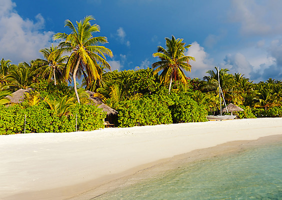 포토 JPG 해외이미지 나무 모래 파도 바다 섬 여행 백그라운드 우산 자연 하늘 휴가 손바닥 풍경 사람없음 물 여름 파란색 햇빛 태양 침묵 만 휴양지 양산 태평양 코코넛 방갈로 석호 몰디브 강렬 이국적 터키석 파라다이스 해외202004 해외포토 자연요소 식물 손 계절 아시아 컬러 과일 숙소 소리 장소 보석 생태계 파일형식 이미지허브