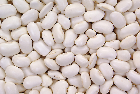 포토 JPG 해외이미지 식물 음식 백그라운드 채소 콩 건조 요리 사람없음 흰색 날것 성분 내추럴 해외202004 해외포토 컬러 곡류 파일형식 이미지허브