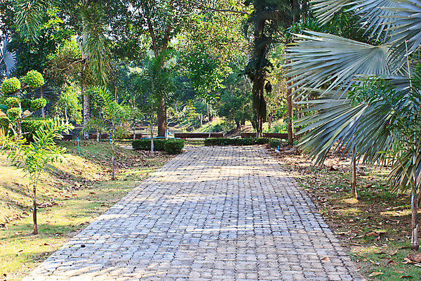 포토 JPG 해외이미지 나무 식물 디자인 공원 꽃 도로 길 여행 백그라운드 컨셉 잎 밭 곡선 자연 주택 동양인 풍경 잔디 사람없음 야외 목재 초록색 여름 컬러풀 장미 평화 환경 정원 침묵 봄 산책 벚꽃 바위 시골 보행로 오솔길 방향 원예 조경 내추럴 루트 방법 영원 해외202004 해외포토 계절 공공시설 선 컬러 농업 재료 교통시설 휴식 인종 취미 건물 소리 돌_바위 생태계 파일형식 이미지허브