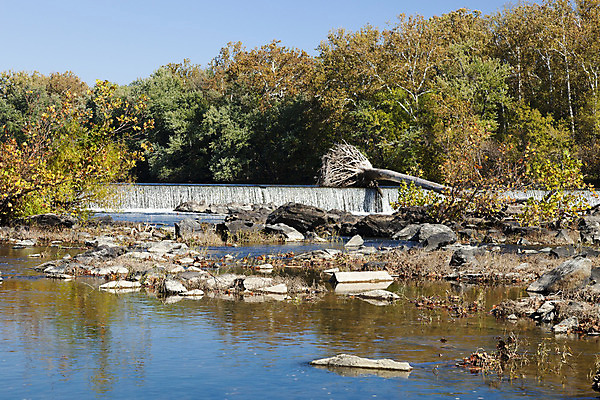 포토 JPG 해외이미지 나무 공원 백그라운드 이동 겨울 자연 풍경 사람없음 물 강 여행객 힘 폭포 가을 흰색 개울 급류 콜롬비아 위험 큼 무서움 지역 암초 내추럴 워싱턴 전국 지질학 현재 해외202004 해외포토 자연요소 식물 계절 공공시설 교육 감정 컬러 컨셉 사람 미국 남아메리카 크기 생태계 파일형식 이미지허브