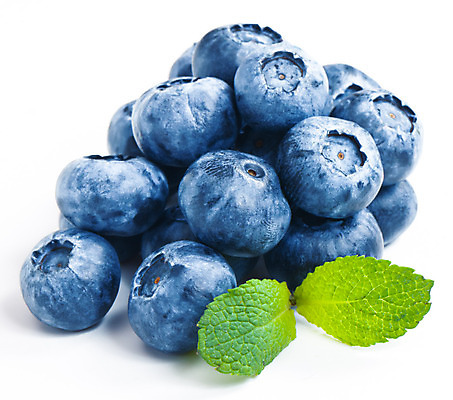 포토 JPG 해외이미지 열매 음식 잎 과일 자연 사람없음 파란색 흰색 신선 달콤 오브젝트 블루베리 내추럴 고립 숙성 월귤 해외202004 해외포토 식물 컬러 맛 생태계 파일형식 이미지허브