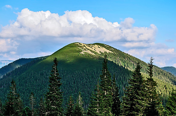 포토 JPG 해외이미지 나무 구름 계절 자연 하늘 날씨 휴가 산 그림자 풍경 사람없음 야외 초록색 여름 파란색 빛 햇빛 환경 맑음 황혼 소나무 황무지 고독 정상 저녁 숲 고도 언덕 휴양지 산등성이 장면 지역 흐림 산악지대 삼림지대 우크라이나 절정 해외202004 해외포토 자연요소 식물 감정 유럽 컬러 태양 일몰 장소 야간 생태계 파일형식 이미지허브