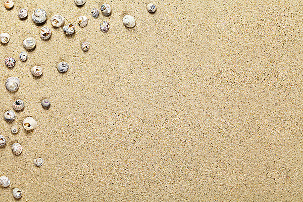 포토 JPG 해외이미지 모래 바다 백그라운드 패턴 자연 벽지 표면 휴가 조개 프레임 사람없음 야외 여름 빛 모래사장 태양 우주 껍질 황금 정상 낟알 묘사 질감 내추럴 카피스페이스 해외202004 해외포토 자연요소 계절 무늬 어패류 공백 생태계 파일형식 이미지허브