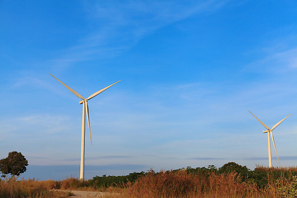 포토 JPG 해외이미지 식물 구름 실루엣 산업 밭 자연 하늘 바람 풍경 사람없음 초록색 파란색 글로벌 농장 환경 탑 힘 일몰 재활용 풍차 발전기 에너지 역 보호 프로펠러 세대 유지 혁명 개발 생태학 공급 해외202004 해외포토 자연요소 건축물 교육 컬러 컨셉 농업 교통시설 날씨 촬영기법 노을 발전소 친환경 생태계 파일형식 이미지허브