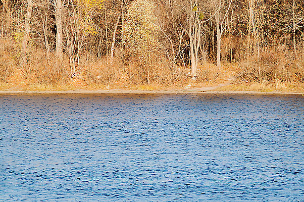 포토 JPG 해외이미지 나무 구름 계절 공원 호수 여행 낙엽 잎 캐나다 오렌지 자연 하늘 아침 날씨 산 풍경 사람없음 야외 목재 빨간색 초록색 물 파란색 강 컬러풀 햇빛 반사 노란색 환경 침묵 일몰 가을 시골 연못 숲 러시아 장면 자작나무 10월 내추럴 해외202004 해외포토 주간 자연요소 식물 공공시설 유럽 컬러 북아메리카 과일 재료 태양 노을 소리 날짜 생태계 파일형식 이미지허브