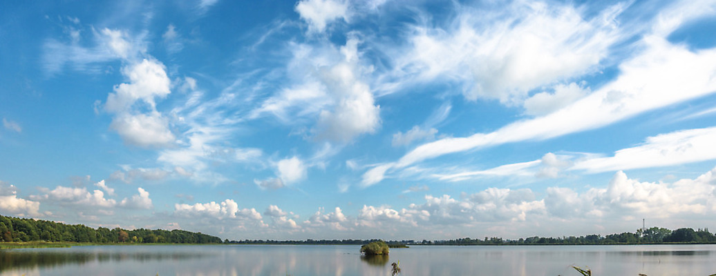 포토 JPG 해외이미지 나무 식물 구름 계절 공원 실루엣 여행 백그라운드 밭 오렌지 자연 하늘 휴가 따뜻함 그림자 풍경 사람없음 야외 빨간색 초록색 여름 파란색 빛 햇빛 태양 노란색 평화 일출 환경 침묵 황혼 일몰 새벽 황금 저녁 숲 장면 내추럴 수평선 해외202004 해외포토 자연요소 공공시설 컬러 컨셉 농업 과일 촬영기법 노을 소리 야간 생태계 파일형식 이미지허브
